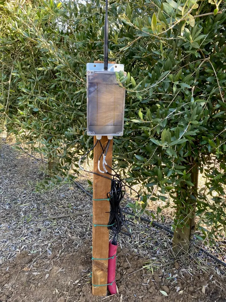 Nodo de sensores sobre un poste en un olivar