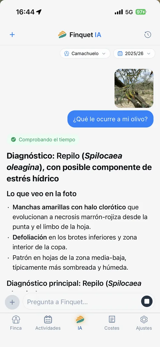Finquet IA diagnosticando una plaga en un olivo a partir de una foto