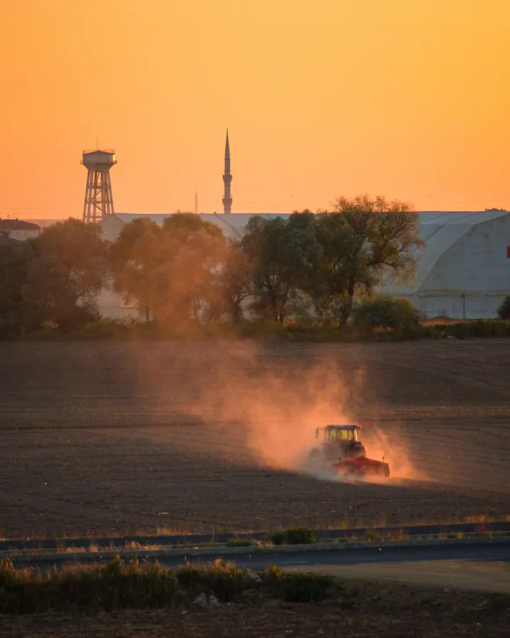Tractor trabajando un campo al atardecer